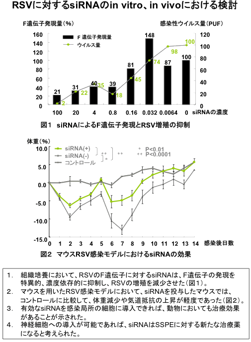 細矢光亮