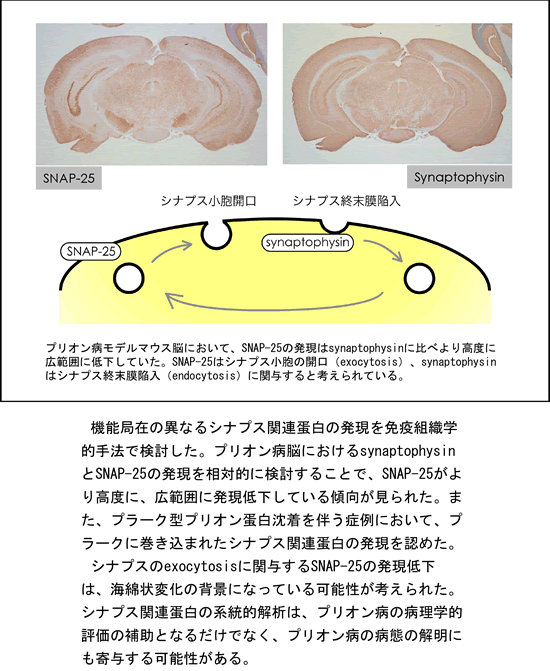 岩城徹