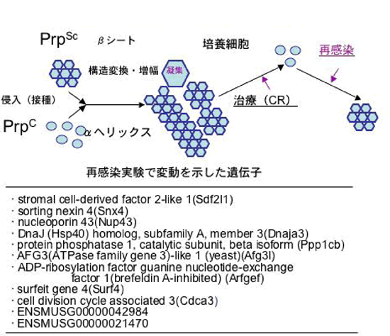 三好一郎