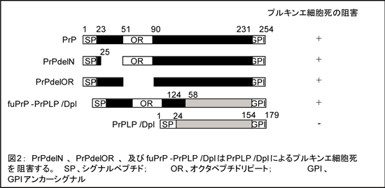 図2