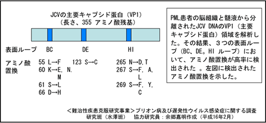 進行性多巣性白質脳症 に関連したJCウイルスのVP１ループ変異