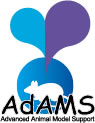 AdAMS