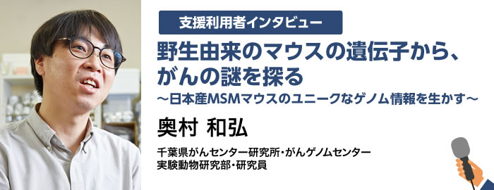 野生由来のマウスの遺伝子から、がんの謎を探る 〜日本産MSMマウスのユニークなゲノム情報を生かす〜  奥村 和弘 千葉県がんセンター研究所・がんゲノムセンター実験動物研究部・研究員